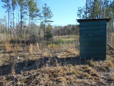 Land For Sale Hunting Land Amite County Liberty Mississippi - image 16