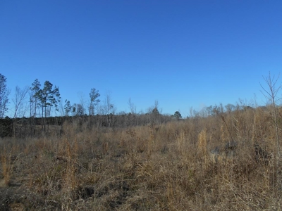 Land For Sale Hunting Land Amite County Liberty Mississippi - image 7