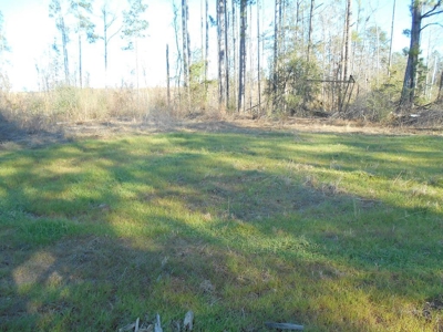 Land For Sale Hunting Land Amite County Liberty Mississippi - image 1