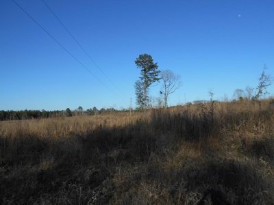 Land For Sale Hunting Land Amite County Liberty Mississippi - image 24