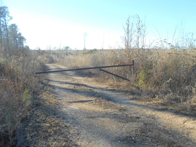 Land For Sale Hunting Land Amite County Liberty Mississippi - image 4