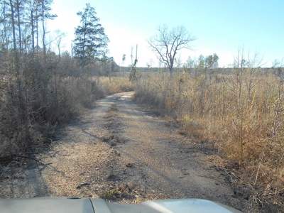 Land For Sale Hunting Land Amite County Liberty Mississippi - image 20