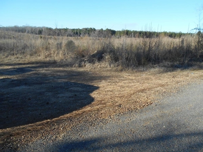 Land For Sale Hunting Land Amite County Liberty Mississippi - image 27