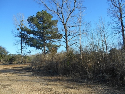 Land For Sale Hunting Land Amite County Liberty Mississippi - image 25