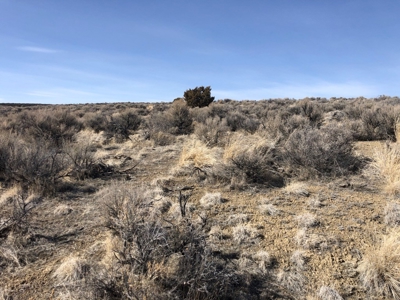 Nevada Residential Buildable Mountain Desert Land For Sale - image 17