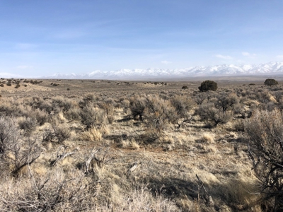 Nevada Residential Buildable Mountain Desert Land For Sale - image 22