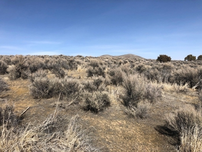 Nevada Residential Buildable Mountain Desert Land For Sale - image 16