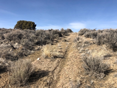 Nevada Residential Buildable Mountain Desert Land For Sale - image 23