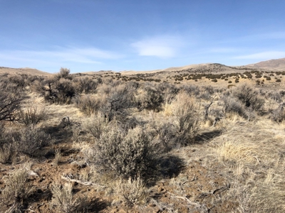 Nevada Residential Buildable Mountain Desert Land For Sale - image 20