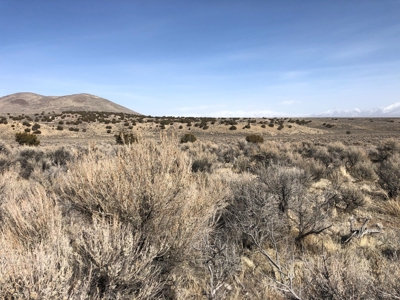 Nevada Residential Buildable Mountain Desert Land For Sale - image 21