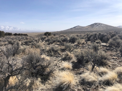 Nevada Residential Buildable Mountain Desert Land For Sale - image 18