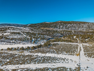 Colorado Hunting Property With Private Land Access - image 9