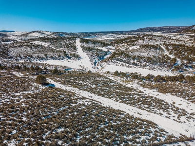 Colorado Hunting Property With Private Land Access - image 11