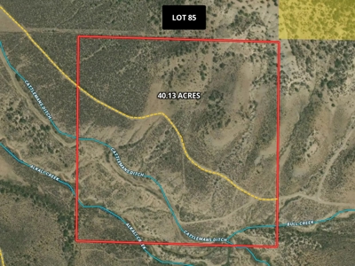 Colorado Hunting Property With Private Land Access - image 15