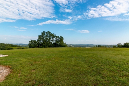 Tennessee Estate with Farm Land & Guest House for Sale - image 15