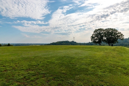 Tennessee Estate with Farm Land & Guest House for Sale - image 8
