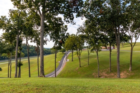 Tennessee Estate with Farm Land & Guest House for Sale - image 9