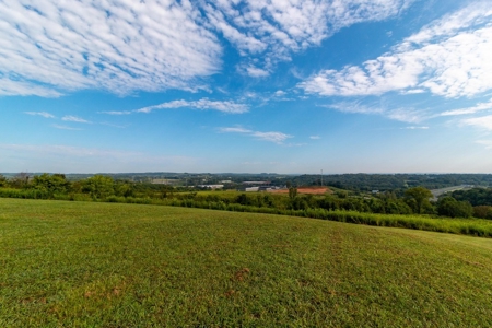 Tennessee Estate with Farm Land & Guest House for Sale - image 10