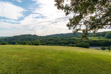 Tennessee Estate with Farm Land & Guest House for Sale - image 16