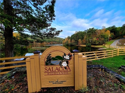 Mountain Land for Sale in Jasper Lake Community - image 1