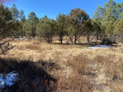 Mountain Land For Sale Southern NM - image 2