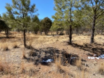 Mountain Land For Sale Southern NM - image 1