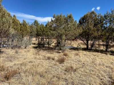 Mountain Land For Sale Southern NM - image 5