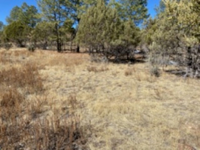 Mountain Land For Sale Southern NM - image 3