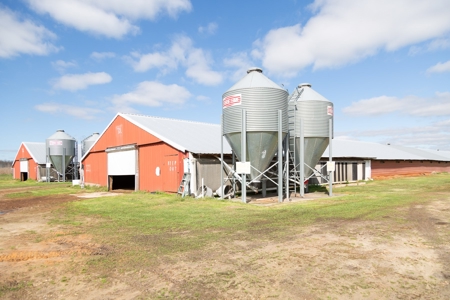 Chicken House Farm with 40 Acres For Sale Hartford, AL - image 22