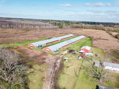 Chicken House Farm with 40 Acres For Sale Hartford, AL - image 25