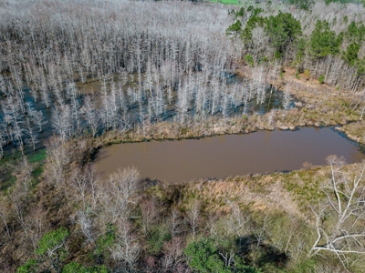 Chicken House Farm with 40 Acres For Sale Hartford, AL - image 29