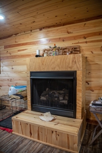 Chicken House Farm with 40 Acres For Sale Hartford, AL - image 14