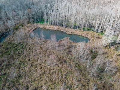 Chicken House Farm with 40 Acres For Sale Hartford, AL - image 27