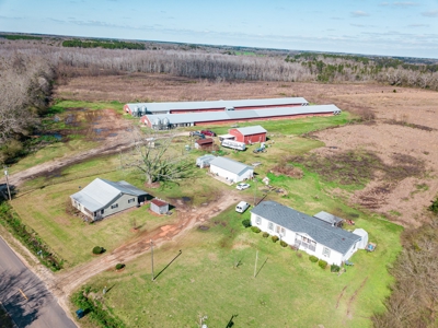 Chicken House Farm with 40 Acres For Sale Hartford, AL - image 26