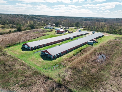 Chicken House Farm with 40 Acres For Sale Hartford, AL - image 30