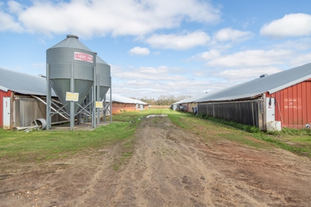 Chicken House Farm with 40 Acres For Sale Hartford, AL - image 23
