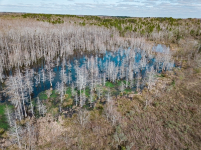 Chicken House Farm with 40 Acres For Sale Hartford, AL - image 28