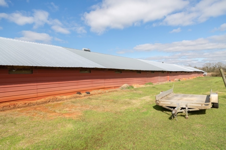 Chicken House Farm with 40 Acres For Sale Hartford, AL - image 21