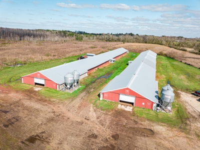 Chicken House Farm with 40 Acres For Sale Hartford, AL - image 1