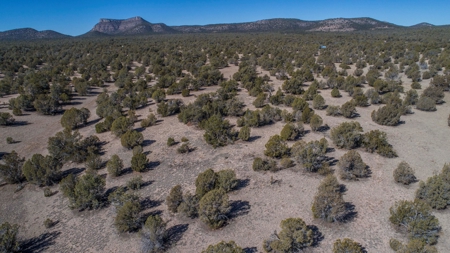 Off Grid Doesn't Get Easier Than This ! - image 9