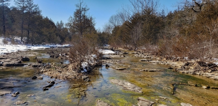 Country Home and Acreage for Sale in Ozark County, Missouri - image 3