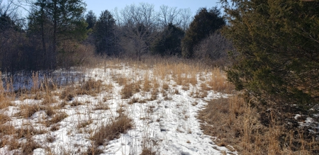 Country Home and Acreage for Sale in Ozark County, Missouri - image 14