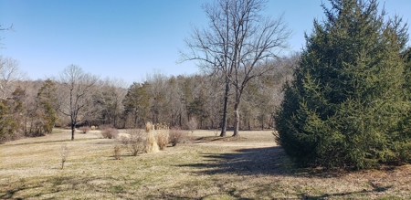 Country Home and Acreage for Sale in Ozark County, Missouri - image 31