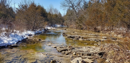 Country Home and Acreage for Sale in Ozark County, Missouri - image 4