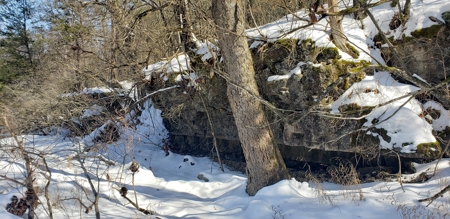 Country Home and Acreage for Sale in Ozark County, Missouri - image 10