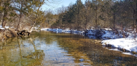 Country Home and Acreage for Sale in Ozark County, Missouri - image 5