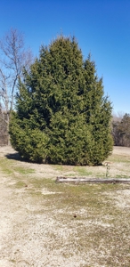 Country Home and Acreage for Sale in Ozark County, Missouri - image 28