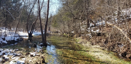 Country Home and Acreage for Sale in Ozark County, Missouri - image 7