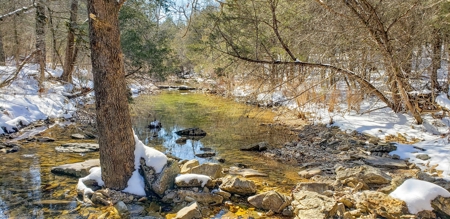 Country Home and Acreage for Sale in Ozark County, Missouri - image 8