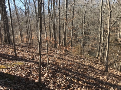 Auction Hawkins County Tennessee - image 11